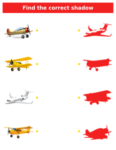 Find the Correct Shadow